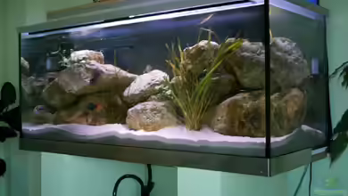 Becken 1778 von Jens Nonnenmacher