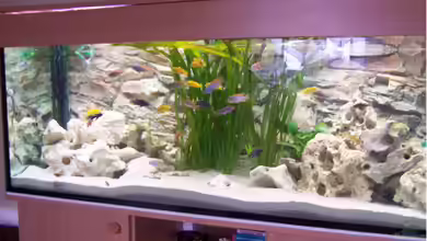 Becken 17833 von wd1965