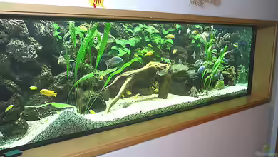 Becken 1799 von Bernd Niehoff