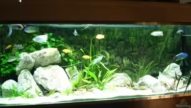 Becken 1806 von Andreas Sperk