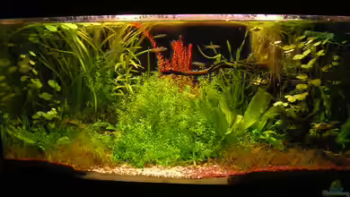 Becken 1807 von Jasmin Lütticke