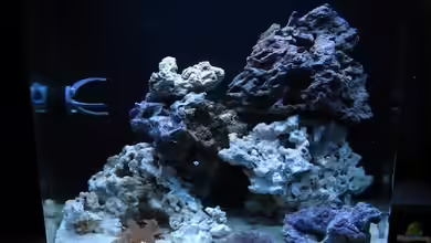 Becken 18107 von All in one