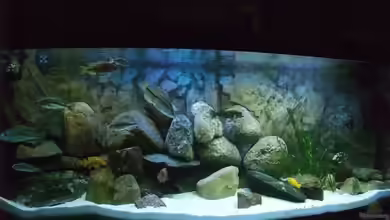 Becken 18174 von Danny Mätzke