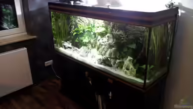 Becken 18250 von Markusb