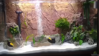 Becken 18274 von coupe320i