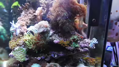 Becken 18436 von Steffen Ruck