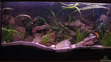 Becken 18575 von Stefan Heisterkamp