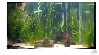 Becken 18775 von Norbert