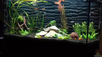 Becken 18805 von Markus Seefeldt