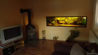 Becken 18947 von Peer Wojtkowiak