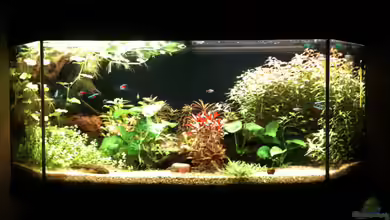 Becken 19299 von Andreas Glissmann