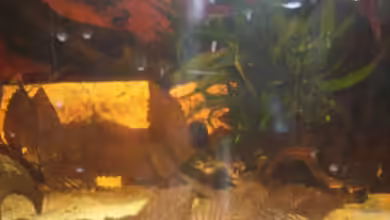 Becken 19520 von Ulf