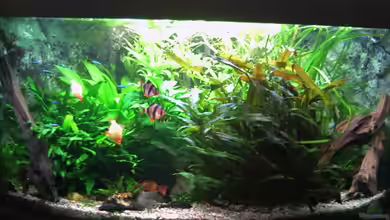 Becken 1959 von Holger Freiwald