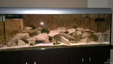 Becken 19756 von coupe320i