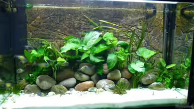 Becken 19774 von H.K-Mika