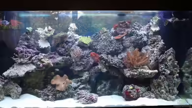 Becken 19856 von Thorsten John