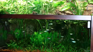 Becken 1992 von Jochen Gedicke