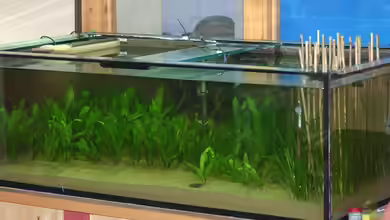 Becken 19939 von Stefan Kaiser