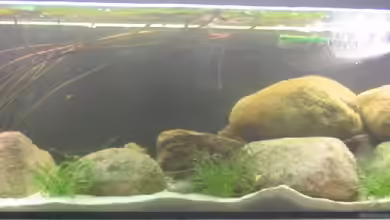 Becken 201 von Katrin Bärwald