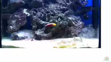 Becken 20377 von Rene Rohrer