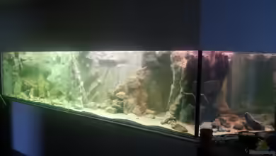 Becken 205 von Dirk Beßler