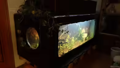 Becken 20558 von Alex Wulf