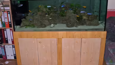 Becken 2064 von Antje Raasch