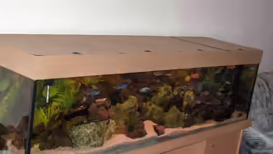 Becken 2069 von Jens Zinder