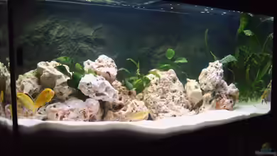 Becken 2071 von Markus Gebauer