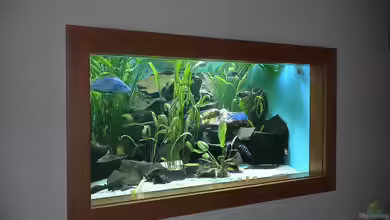 Becken 2075 von Edmund Thaler