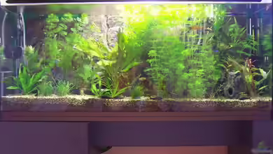 Becken 2080 von Harald Westphal