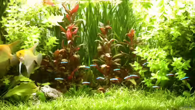 Becken 2084 von Michael Sch.