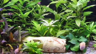 Becken 2088 von Oliver Liborius