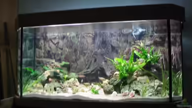 Becken 2090 von Britta Schneider