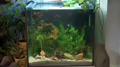 Becken 2092 von Christian Friedrich