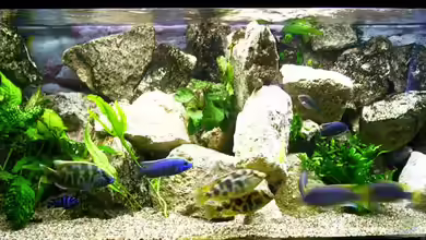 Becken 21 von Stephan Rühl