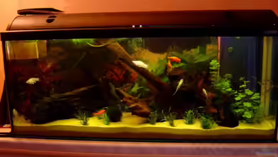 Becken 2108 von Andreas Mehner