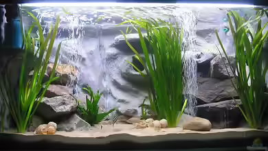 Becken 2122 von Mike Nebenführ