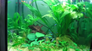 Becken 2128 von Claudia Seidl