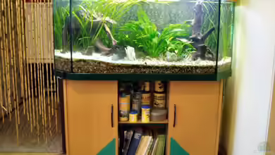 Becken 2141 von Marko Straßburger