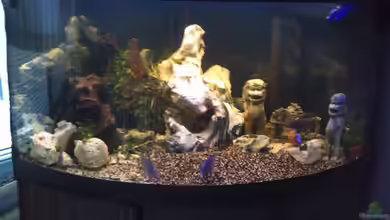 Becken 21599 von Michael Kreutz