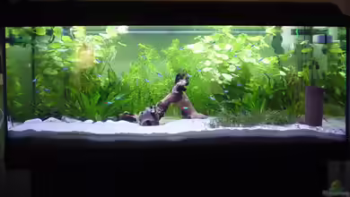 Becken 2170 von Marko Lütgens