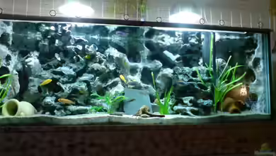 Becken 2203 von Ronny Kretschner