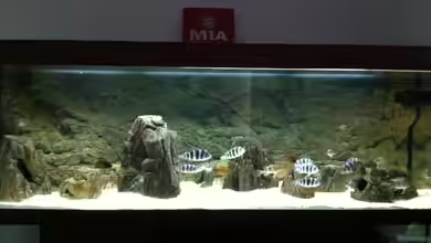 Becken 22126 von Manuel Jettki