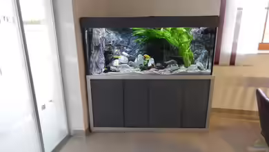 Becken 22139 Malawi wurde aufgelöst von da Dida