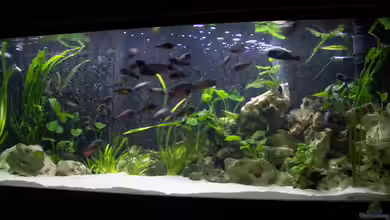 Becken 2214 von Sven Ufer