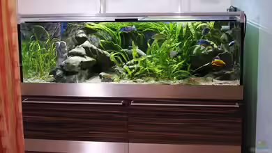 Becken 22202 von aquabert