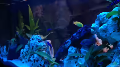 Becken 22235 von Meischder Kreusel