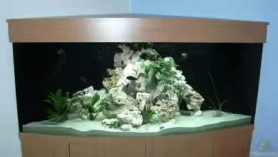 Becken 223 von Stefan Franck