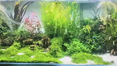 Becken 22307 von piet